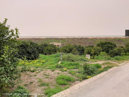 Dos parcelas urbanas en Beniajan - MURCIA