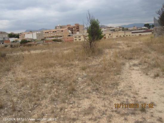 12000 METROS DE TERRENO RUSTICO EN CANTARRANES - ALICANTE