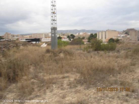 12000 METROS DE TERRENO RUSTICO EN CANTARRANES - ALICANTE