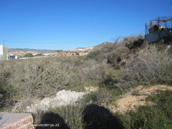 TERRENO RURAL - ALICANTE