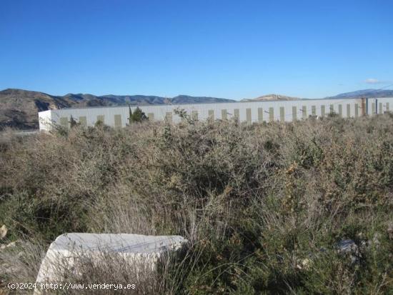 TERRENO RURAL - ALICANTE