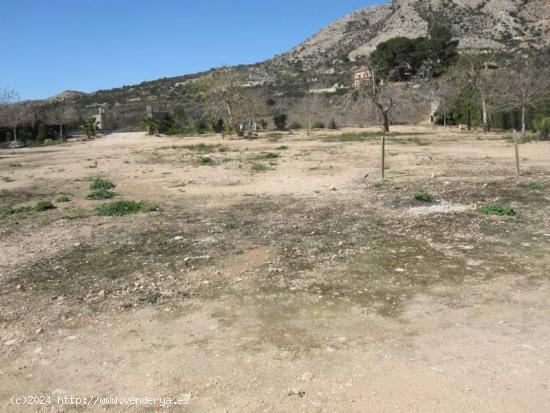 TERENO RURAL A LAS FALDAS DE LA MONTAÑA - ALICANTE