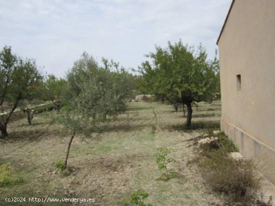 GRAN OPORTUNIDAD CASA CON TERRENO - ALICANTE