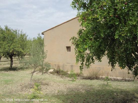 GRAN OPORTUNIDAD CASA CON TERRENO - ALICANTE