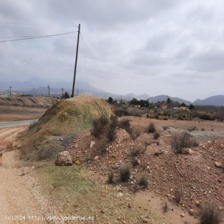 TERRENO RURAL - ALICANTE