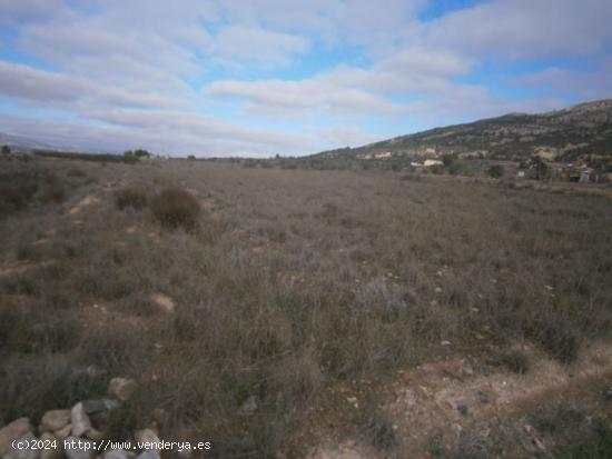  TERRENO NO URBANO - ALICANTE 