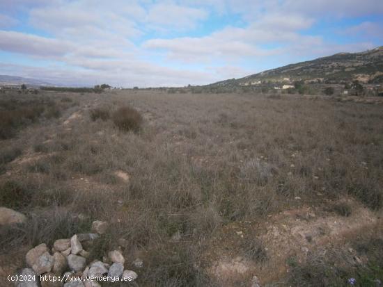 TERRENO NO URBANO - ALICANTE