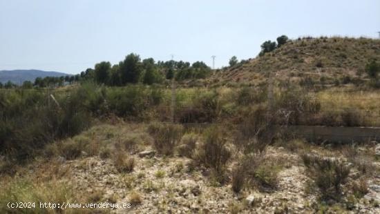  Parcela terreno 10.000 - ALICANTE 