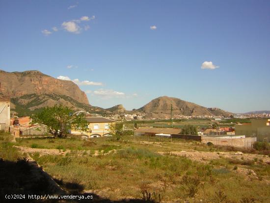 Finca  Raiguero de Bonanza - ALICANTE