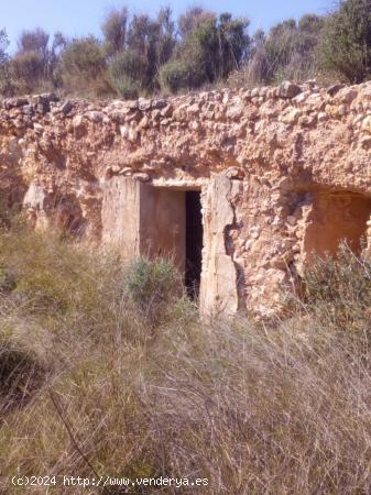 TERRENO URBANIZABLE - ALICANTE