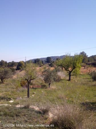 TERRENO URBANIZABLE - ALICANTE