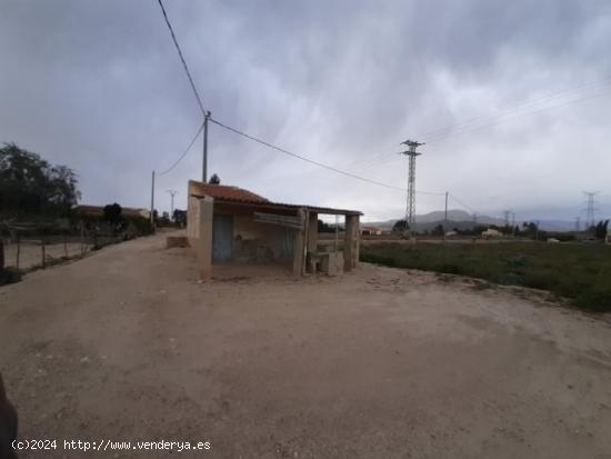 Parcela de terreno en el campet - ALICANTE