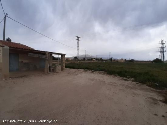 Parcela de terreno en el campet - ALICANTE