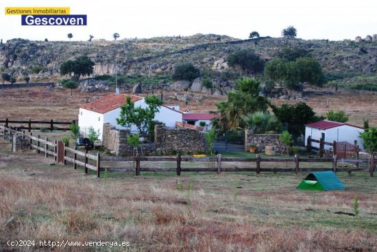 EXCEPCIONAL FINCA RÚSTICA 37 Htas. ABUNDANTES PASTOS, AGUA, ELECTRICIDAD, EDIFICACIONES Y VACUNADER