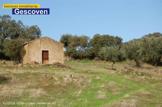 VENTA FINCA OLIVAR - CACERES