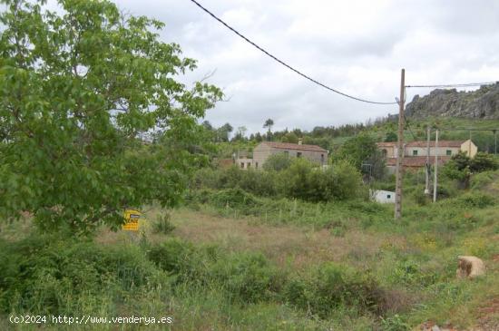 ECONÓMICA PARCELA RÚSTICA JUNTO A RÍO, CON POSIBILIDAD AGUA DE LA RED Y ELECTRICIDAD - CACERES