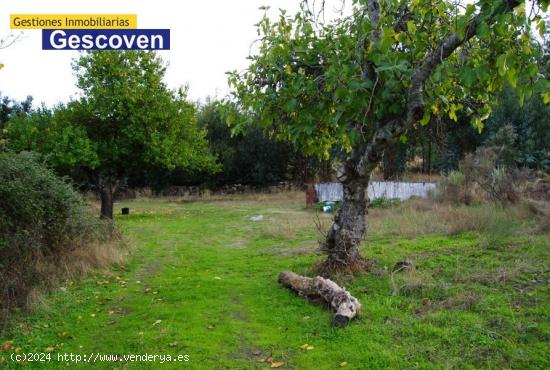 TERRENO JUNTO AL CASCO URBANO - CACERES