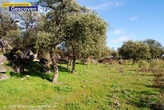  VENTA FINCA RÚSTICA - CACERES 