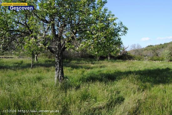 MARAVILLOSA PARCELA RÚSTICA LIMÍTROFE CON RÍO, POSIBILIDAD DE AGUA Y LUZ - CACERES