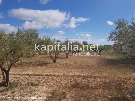  Terreno urbanizable, cerca urbanización el pilar. - VALENCIA 