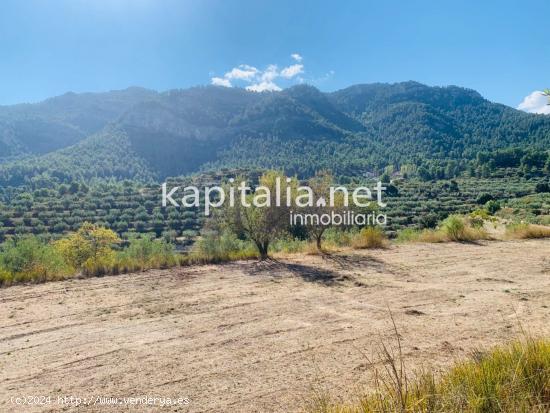  Parcela a la venta en Alfafara. - ALICANTE 