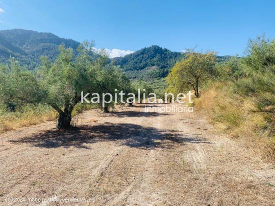 Parcela a la venta en Alfafara. - ALICANTE