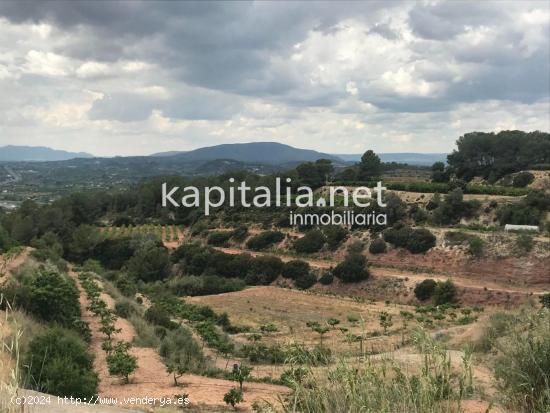  Terreno rural en La LLosa de Ranes - VALENCIA 