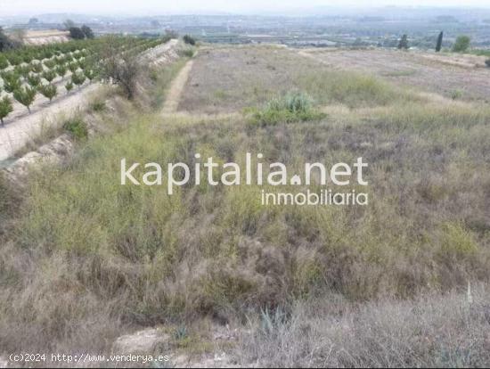 Finca rustica a la venta en la Pobla del duc - VALENCIA