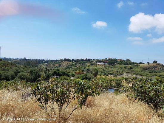  Magnifica Finca rustica en Estepona - MALAGA 