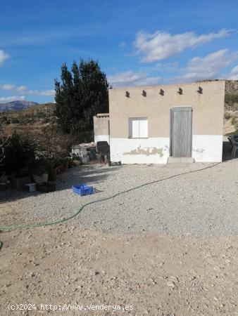 TERRENO EN AGOST - ALICANTE