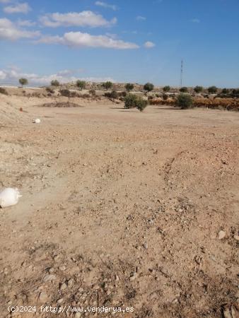 TERRENO EN AGOST - ALICANTE