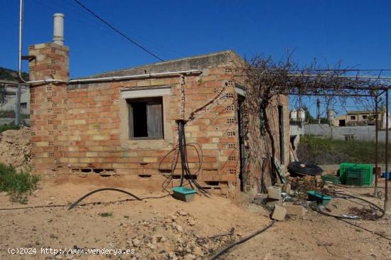 Granja de 800 m2 para la cria de cerdos. - TARRAGONA