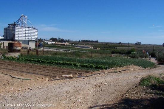 Granja de 800 m2 para la cria de cerdos. - TARRAGONA