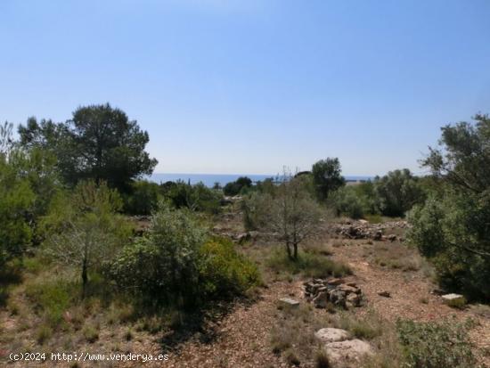  Finca rústica, de 520 m2, con vistas al mar. - TARRAGONA 