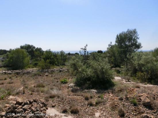 Finca rústica, de 520 m2, con vistas al mar. - TARRAGONA