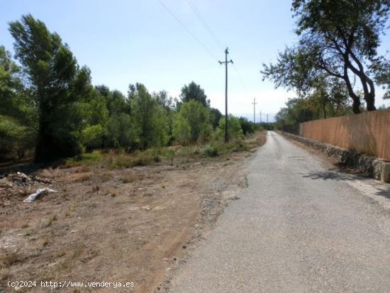 Finca rústica de 15.000 m2. - TARRAGONA