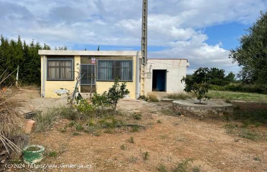  Finca rústica de 3,5 hectáreas, con caseta, pozo propio - TARRAGONA 