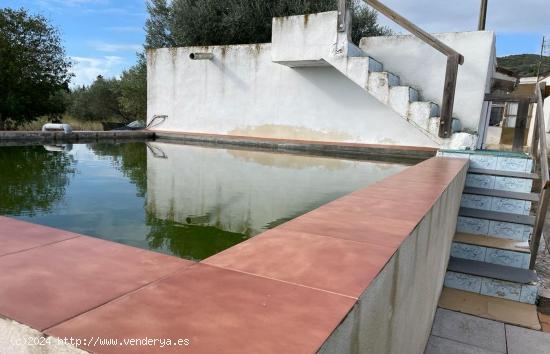 Finca rústica de 3,5 hectáreas, con caseta, pozo propio - TARRAGONA