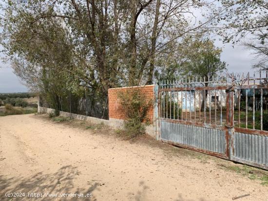  VENTA DE FINCA EN ILLESCAS - TOLEDO 