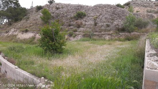 PARCELAS RUSTICAS EN ZONA SANTA ANA/REBOLLEDO - ALICANTE