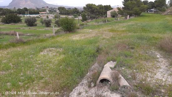 PARCELAS RUSTICAS EN ZONA SANTA ANA/REBOLLEDO - ALICANTE