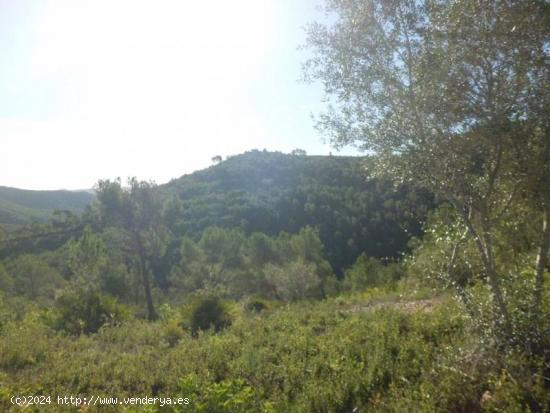 TERRENO EN VENTA CON VISTAS AL PARC NATURAL DEL GARRAF - BARCELONA