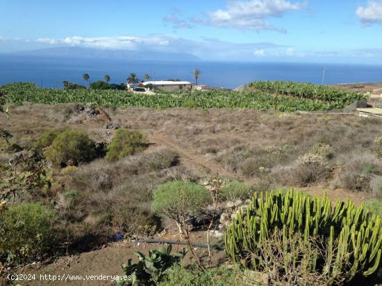 Venta de terreno agrícola ganadero - SANTA CRUZ DE TENERIFE