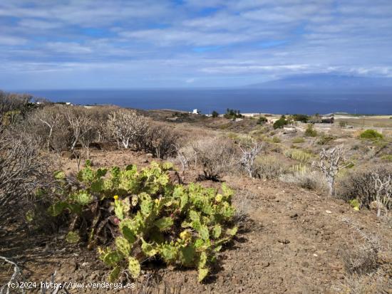  Terreno en Tijoco Bajo - SANTA CRUZ DE TENERIFE 