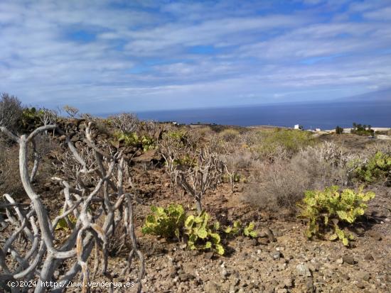 Terreno en Tijoco Bajo - SANTA CRUZ DE TENERIFE