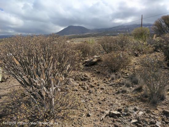 Terreno en Tijoco Bajo - SANTA CRUZ DE TENERIFE