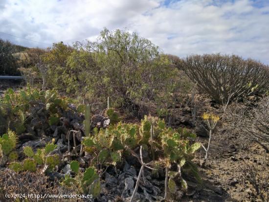 Terreno en Tijoco Bajo - SANTA CRUZ DE TENERIFE