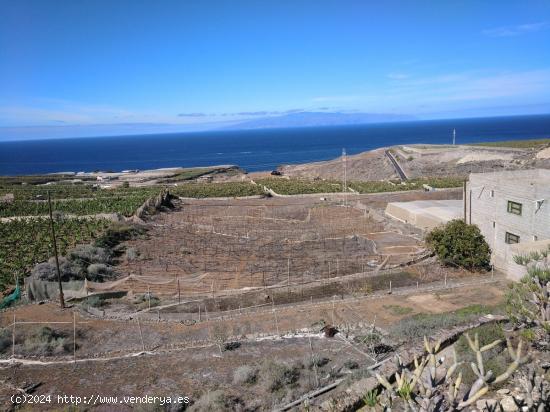  Finca en Ricasa - SANTA CRUZ DE TENERIFE 