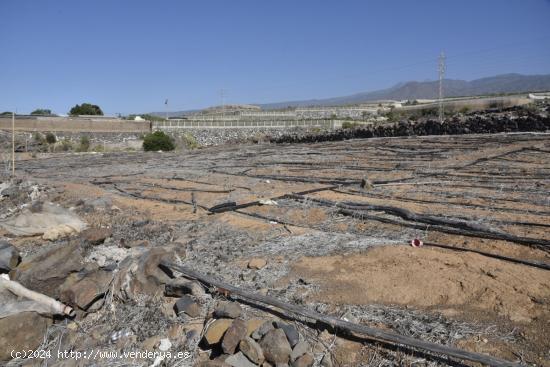 Finca en Ricasa - SANTA CRUZ DE TENERIFE