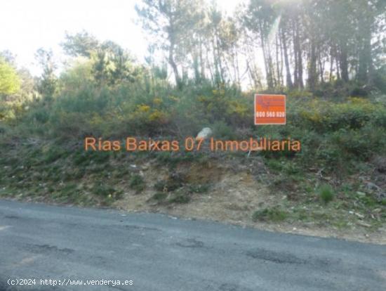 REF 2040 FINCA RUSTICA 3110 m2 CUVI (VIGO) - PONTEVEDRA